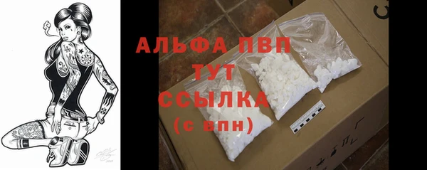 меф Арсеньев