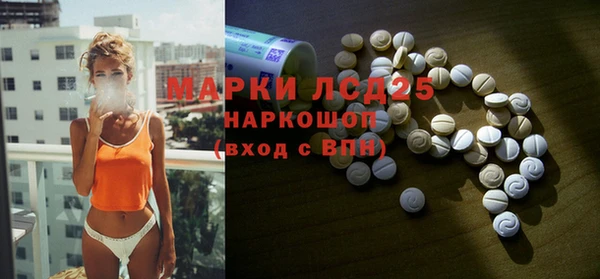 ПСИЛОЦИБИНОВЫЕ ГРИБЫ Гусь-Хрустальный