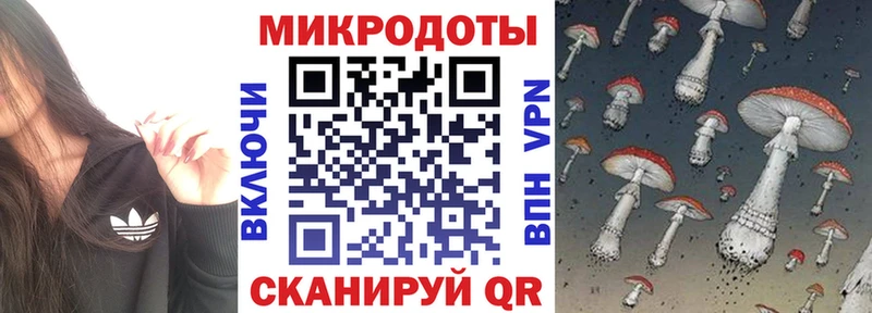 дарнет шоп  Краснодар  Псилоцибиновые грибы Cubensis 